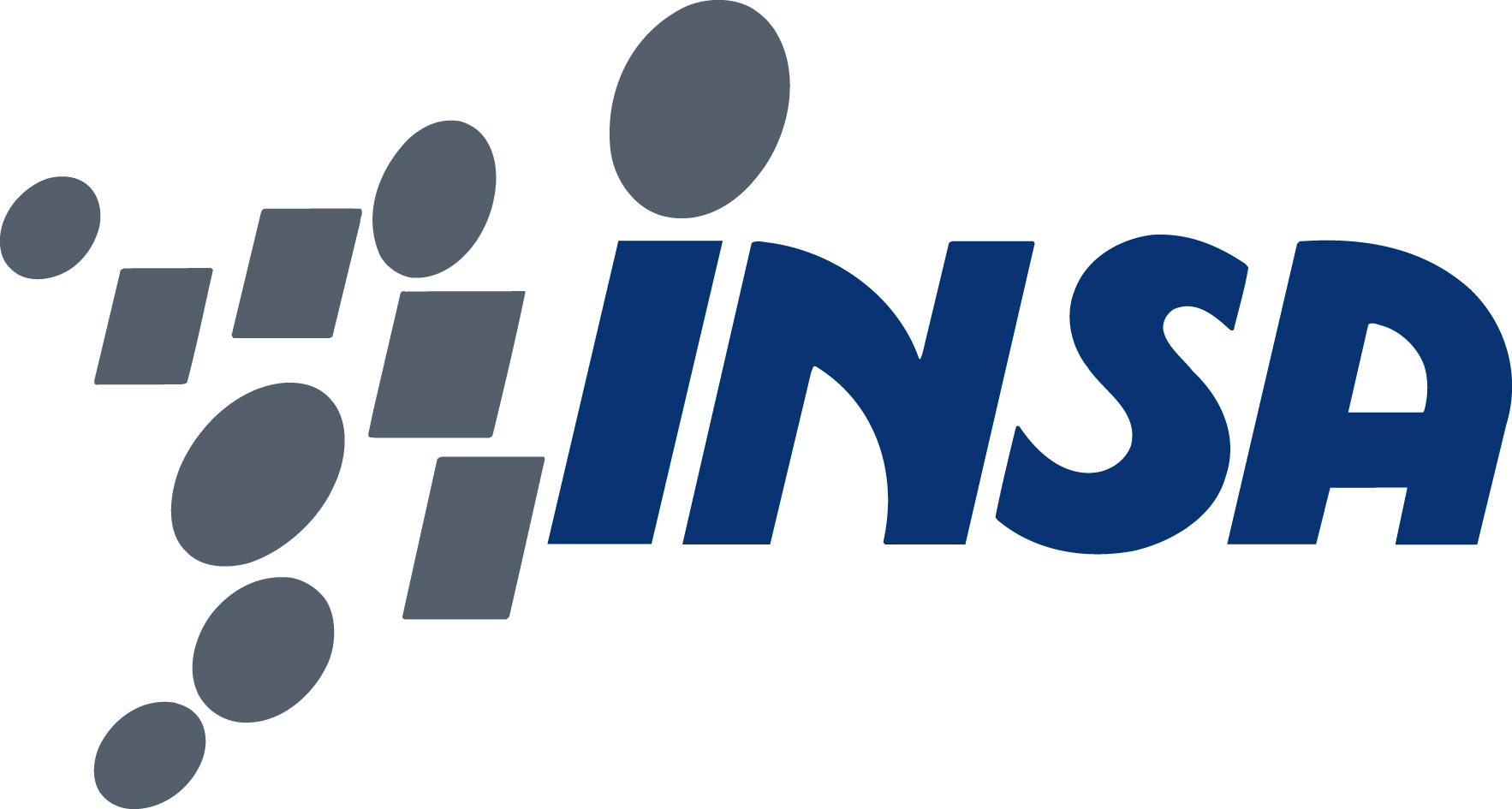 Logo INSTITUT NATIONAL DES SCIENCES APPLIQUÉES (INSA)