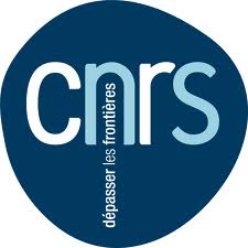 Logo CNRS (CENTRE NATIONAL DE LA RECHERCHE SCIENTIFIQUE)