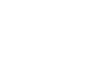 Logo FLEURUS